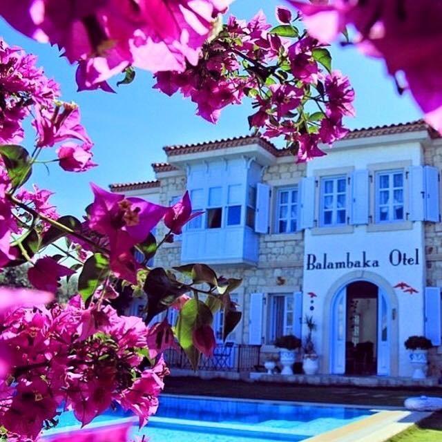 Balambaka Hotel - אלאקאטי מראה חיצוני תמונה