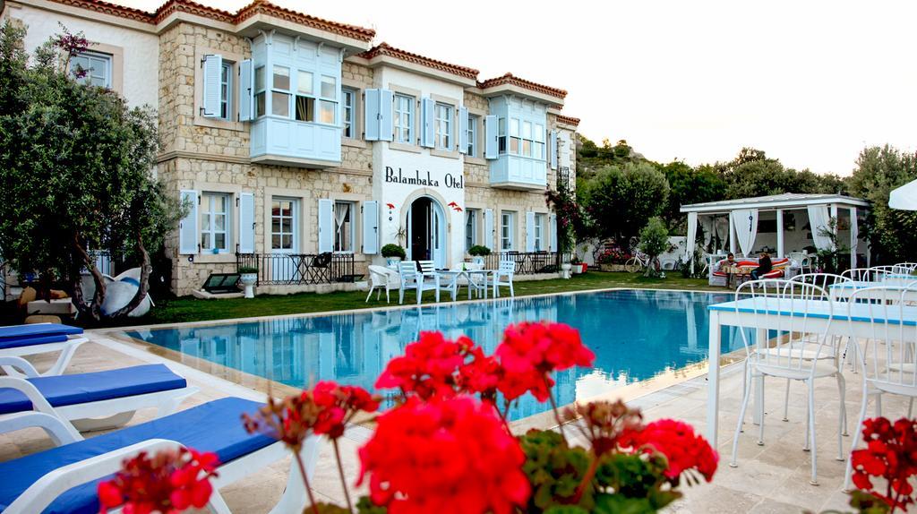 Balambaka Hotel - אלאקאטי מראה חיצוני תמונה