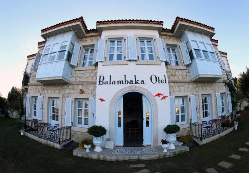 Balambaka Hotel - אלאקאטי מראה חיצוני תמונה